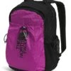 The North Face Bozer Backpack