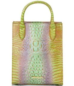 BRAHMIN Ombre Mini Melbourne Collection Moira Verbena Tote Bag