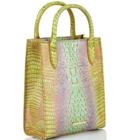 BRAHMIN Ombre Mini Melbourne Collection Moira Verbena Tote Bag -Kurt Geiger Shop 00000000 zi 6df3212f 127a 4486 b0fc efe64482dc89 03 ai