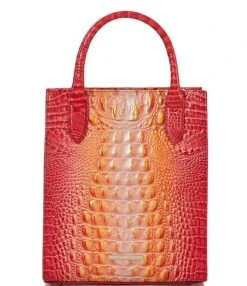 BRAHMIN Ombre Melbourne Collection Moira Infusion Tote Bag 11 BRAHMIN Ombre Melbourne Collection Moira Infusion Tote Bag -Kurt Geiger Shop 00000000 zi 94fdd421 872b 44d7 9085 e1c7cbdbc67b