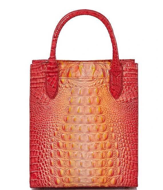 BRAHMIN Ombre Melbourne Collection Moira Infusion Tote Bag 3 BRAHMIN Ombre Melbourne Collection Moira Infusion Tote Bag - Afbeelding 3