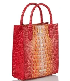 BRAHMIN Ombre Melbourne Collection Moira Infusion Tote Bag 9 BRAHMIN Ombre Melbourne Collection Moira Infusion Tote Bag -Kurt Geiger Shop 00000000 zi 94fdd421 872b 44d7 9085 e1c7cbdbc67b 03 ai