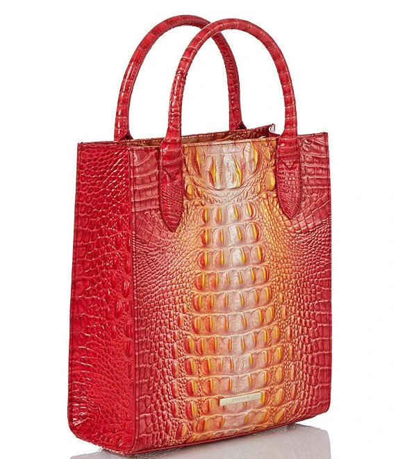 BRAHMIN Ombre Melbourne Collection Moira Infusion Tote Bag 4 BRAHMIN Ombre Melbourne Collection Moira Infusion Tote Bag - Afbeelding 4