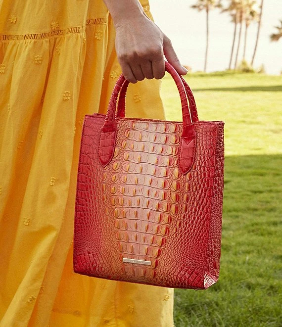 BRAHMIN Ombre Melbourne Collection Moira Infusion Tote Bag 2 BRAHMIN Ombre Melbourne Collection Moira Infusion Tote Bag - Afbeelding 2