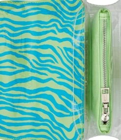 Betsey Johnson Floral Ornamented Colorblock Stripe Clear Crossbody Bag