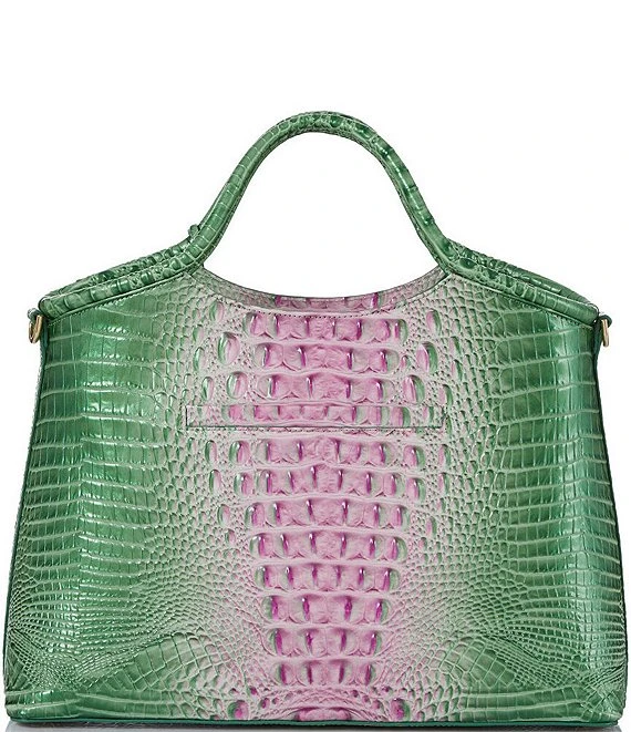 BRAHMIN Ombre Melbourne Collection Elaine Apple Blush Satchel Bag 2 BRAHMIN Ombre Melbourne Collection Elaine Apple Blush Satchel Bag - Afbeelding 2