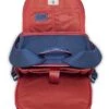 Delsey Paris Chatelet Air 2.0 Navy Blue Backpack